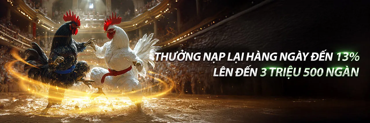 Sân vận động thể thao sôi động của zomclub nhà cái